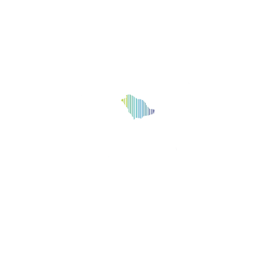 الإدارة التنفيذية لرأس المال البشري